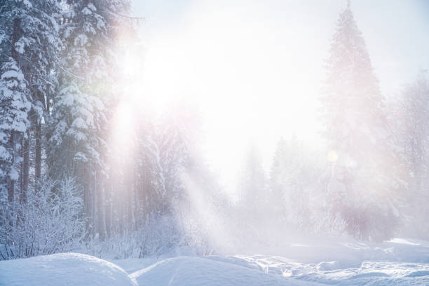 Winter Sunny Day
