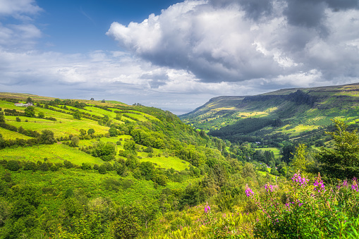 Lush green forest and fields illuminated by sunlight on the hills and valley of Glenariff Forest Park, Antrim, Northern Ireland