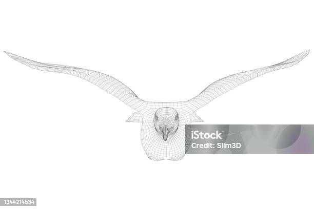 Bird Keyframe Flying Bird Wireframe Isolated On White Background Front View 3d Vector ...