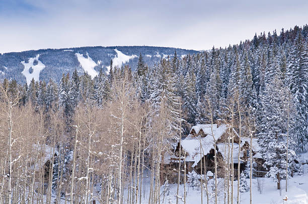 istock Luxury Trophy Mountain Home Next to Ski Slopes 134421618