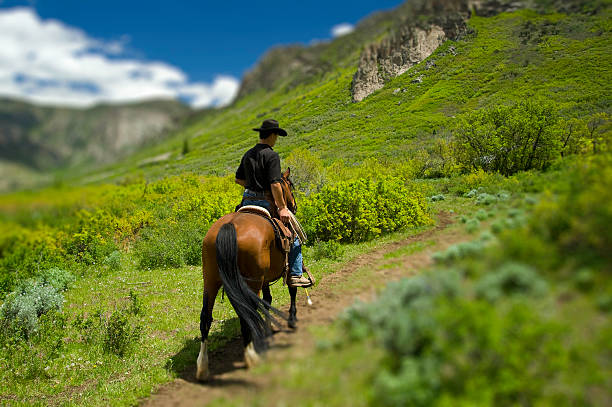 Four friends enjoying horseback riding along countryside trail, panoramic shot.