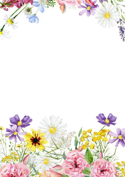 istock Beautiful watercolor wildflower frame. Wild floral border for wedding invite, greeting card, baby shower, bridal shower. 1344218400