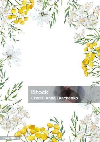 istock Watercolor white and yellow floral frame design witn hand drawn meadow wildflower, greenery twigs, foliage, leaves. Wedding invintation, bridal shower, baby shower. 1344218432