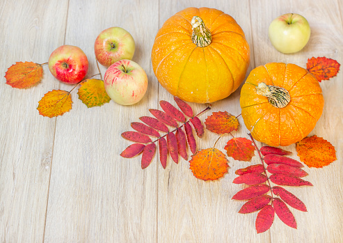Ripe apples, organic quince, pear, nuts and colorful autumn leaves on wooden table shot from above