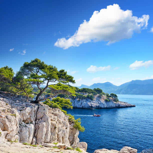 Calanques of Marseille in France The cliffs of the Calanques are a natural wonder nestled near Marseille, France natural landmark stock pictures, royalty-free photos & images