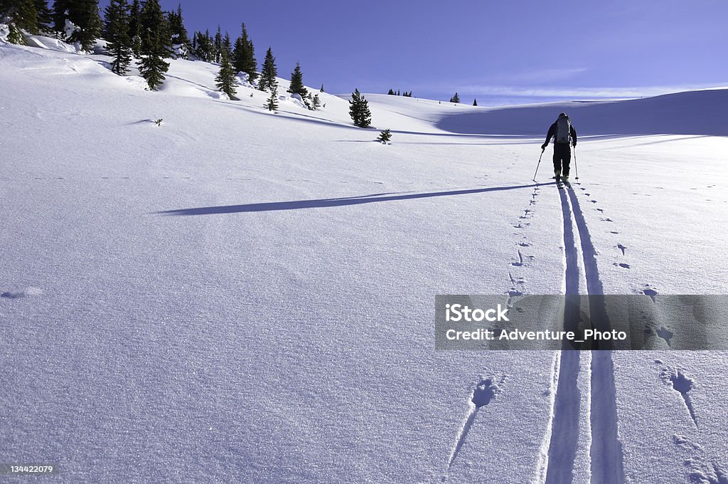 スキートレイル、お肌の最新トラックのスキーツアー - ツアースキーのロイヤリティフリーストックフォト