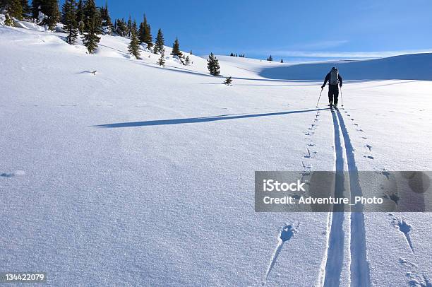 スキートレイルお肌の最新トラックのスキーツアー - ツアースキーのストックフォトや画像を多数ご用意 - ツアースキー, セルカーク山脈, 1人