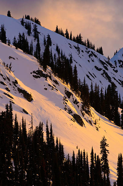 montanhas selkirk canadá ao pôr do sol - copy space alpenglow winter mountain range imagens e fotografias de stock