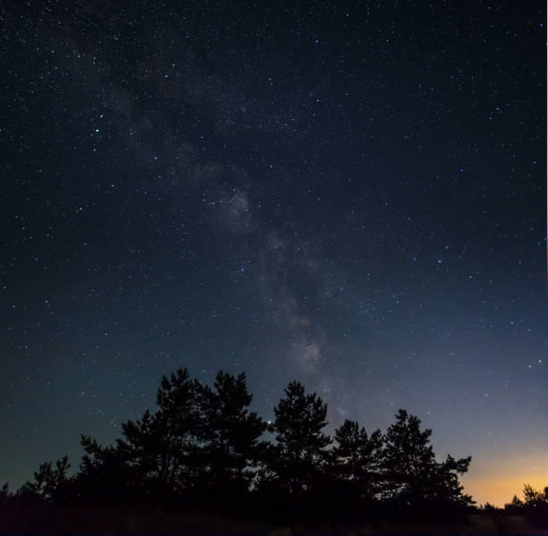 istock night forest silhouette under starry sky backgrouna 1344225821