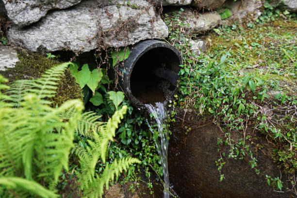 istock Fresh water flowing from pipe among green forest 1344226361