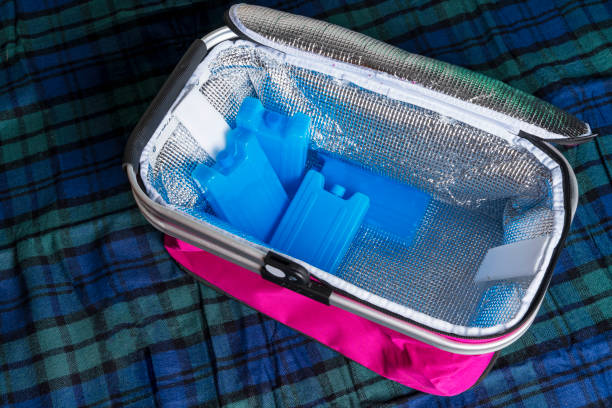 istock Portable refrigerator bag with cold storage batteries, thermos bag, refrigerant tanks, ice plates for a refrigerator bag 1344227163