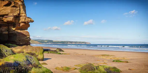 Photo of Beach scene.