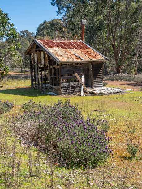 istock Old Woodcutters Cabin 1344229664