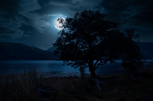 Composite image of a moonlit scene with full moon over Loch Leven and a silhouetted tree in the foreground.