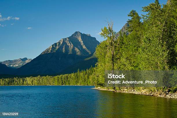 Photo libre de droit de Vue Sur Le Lac Et Sur Les Montagnes Majestueuses Du Glacier National Parkmontana banque d'images et plus d'images libres de droit de Arbre