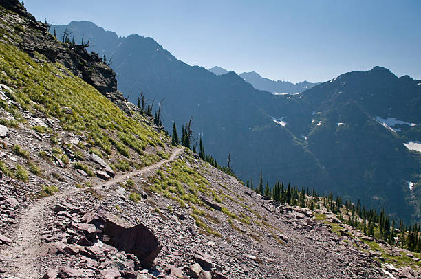 istock Hiking Trail High Traverse, Glacier National Park 134423265