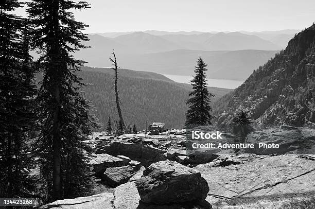 Malerische Vista Mit Blick Auf Den Lake Macdonald Glacier National Park Montana Stockfoto und mehr Bilder von Ansicht aus erhöhter Perspektive