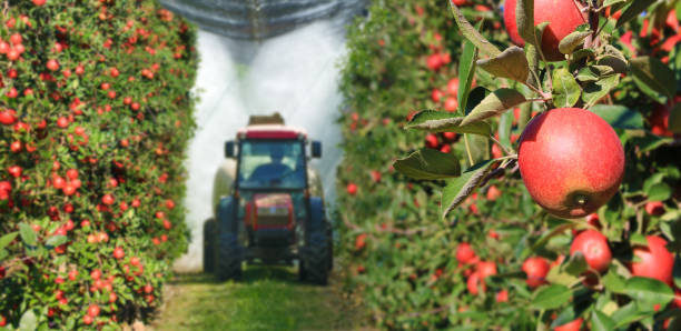 pulvérisation d’un pommier fruitier avec un tracteur et des machines agricoles - orchard apple orchard apple apple tree photos et images de collection