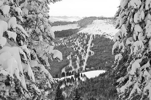 istock Vail Blue Sky Basin Scenic View Colorado Winter 134423662