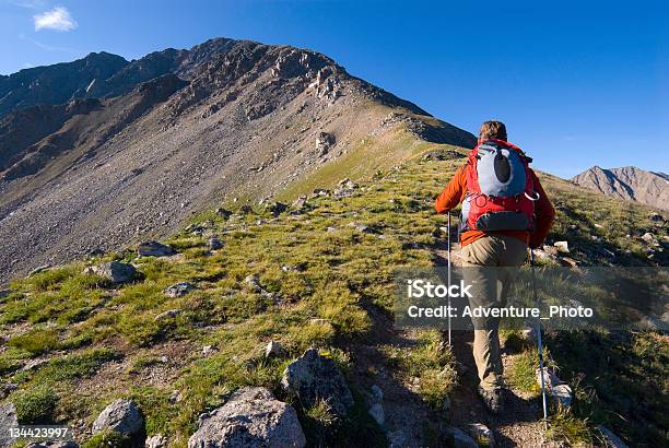 Male Hiker Hiking High On Trail 14er Mountain Peak Stock Photo - Download Image Now - Colorado, Hiking, Pole