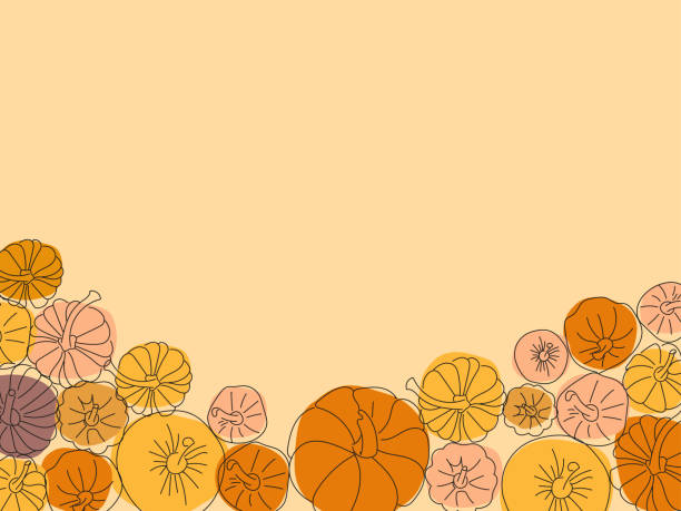 illustrazioni stock, clip art, cartoni animati e icone di tendenza di cornice di zucche colorate di diverse forme in stile doodle - pumpkin autumn october squash