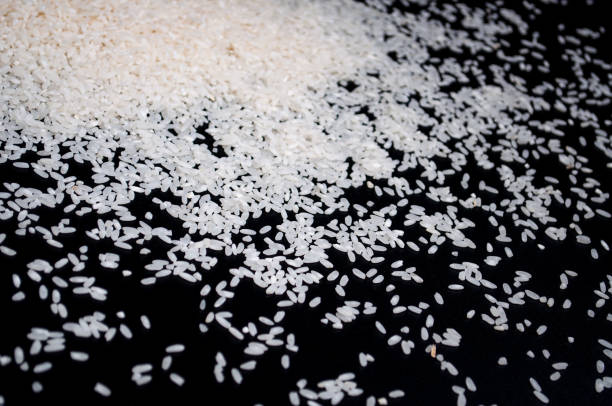 istock Texture of scattered rice on a black background 1344245269