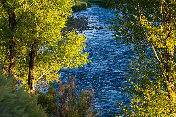 istock River Water Flowing with Scenic Cottonwood Trees 134424639