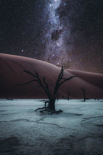 Scenic view of the night desert landscape with acacia dead tree, dune and the dried lake in Sossuvlei, namibia