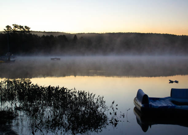 istock Misty Lake Sunrise 1344250785