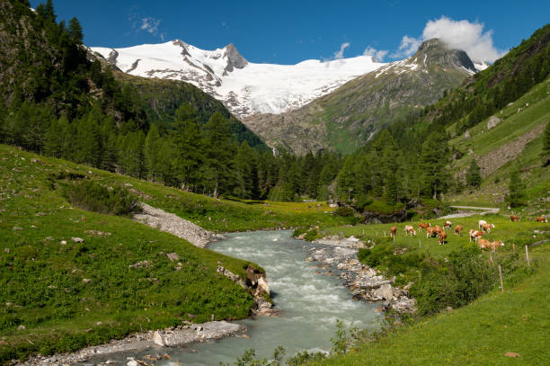istock River and glacier in the Austrian Alps 1344254502