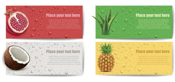 Vector illustration of Banners with coconut, pineapple, aloe vera, pomegranate and many juice drops