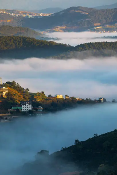 Drone view of a Foggy day on Da Lat with pine tree on the hill, Lam Dong province, central highlands Vietnam