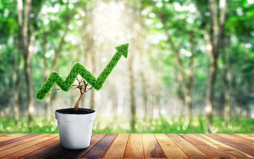 Small plant in pot shaped like growing graph. Business growth concept. planning savings money concept for property mortgage and real estate investment. Concept of finance investment investing.