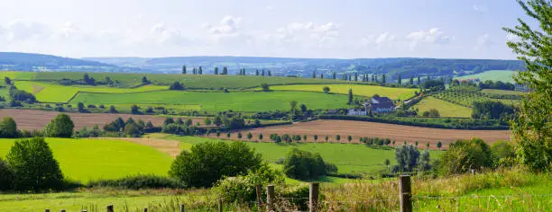 Panoramic of a summer landscape in the province of Limburg, Netherlands. This region near the village of Eys with its rolling hills, cypresses and vineyards is known as the Dutch Tuscany.