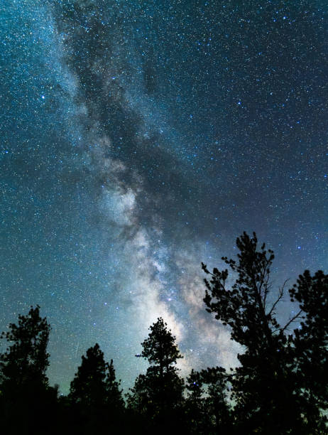istock Glowing Milky Way rising behind silhouetted trees 1344265356