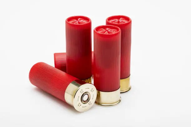 Photo of Ammunition of shotgun shell bullets on white background