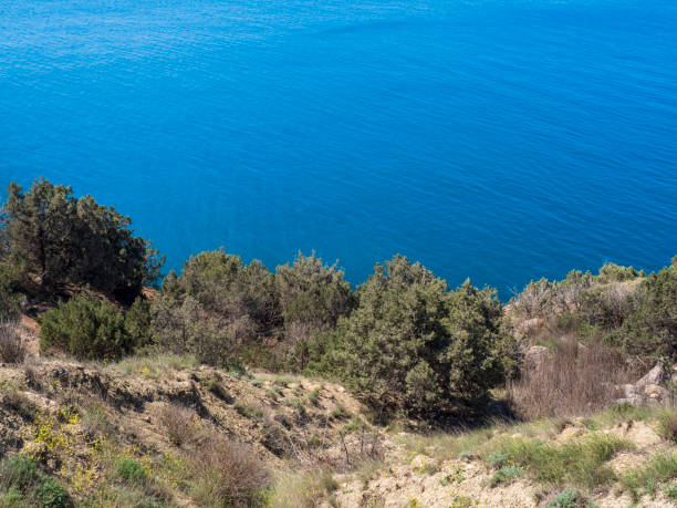 istock Scenic view resort of Crimea 1344269513