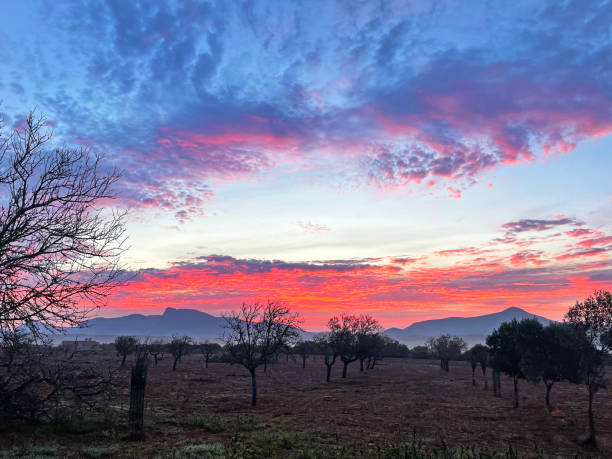 istock Dramatic red and blue skies in the Balearics, Majorca, Spain 1344270792