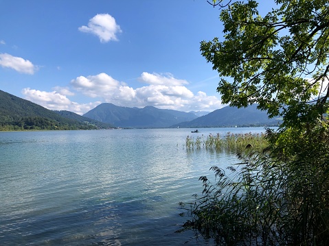 View of tree branches hanging over lake against mountains and old town
