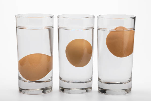 istock Eggs in water test on transparent glass , Egg freshness test on white background , Bad egg floats in water 1344272073