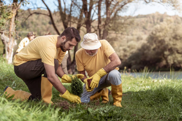 istock Father and son planting a tree 1344272083