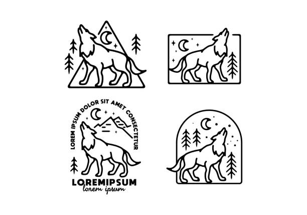 ilustraciones, imágenes clip art, dibujos animados e iconos de stock de color blanco y negro del diseño de arte de la línea del lobo - aullido