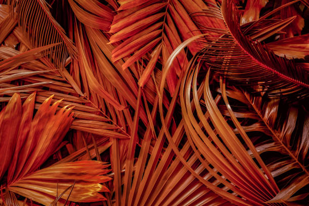 istock tropical leaves, abstract green leaves texture, nature background 1344273133