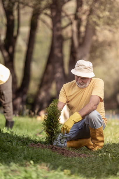 istock Grandpa planting a tree beside a river 1344273278