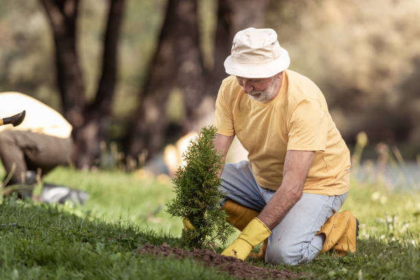 Grandfather planting a tree beside a river