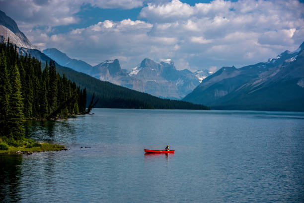 Maligne Lake in Jasper National Park is an idyllic location that begs for the right subject matter.  This moose swam across the lake in search of female company, stopping for a bite to eat before wandering into the woods she entered ten minutes earlier.