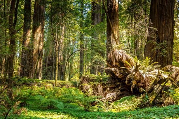 istock The circle of life 1344281169