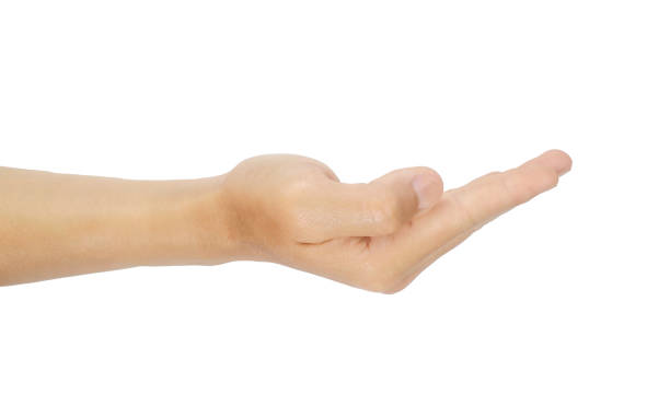 istock Hand gestures and symbols for receiving 1344281292