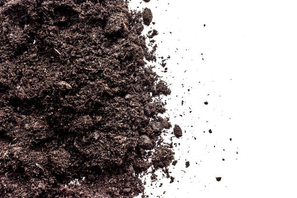 istock Soil dirt isolated on white background. Soil closeup 1344281540