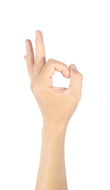 istock Right palm, male hand gestures 1344282177